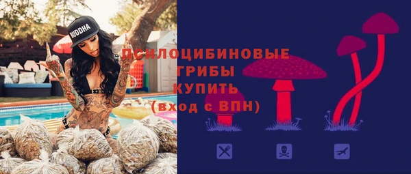 соль ск Алексеевка