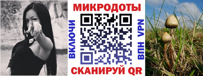 Галлюциногенные грибы Cubensis купить Покров